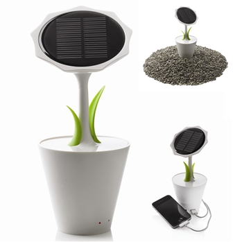 Solar Flower