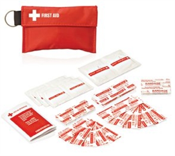 Fa111 34Pc First Aid Pouch On Keyring Penline