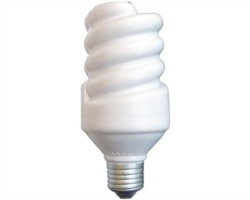 Energy Saving Light Bulb