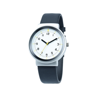 Pictor Model Watch